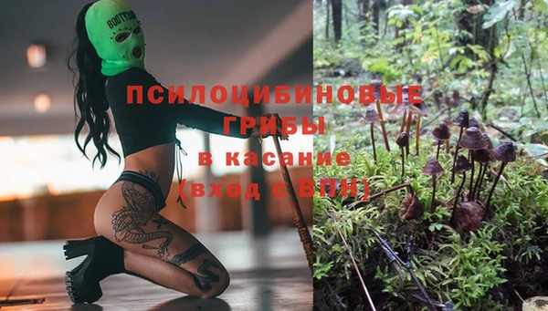 2c-b Балахна