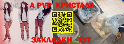 спиды Аргун