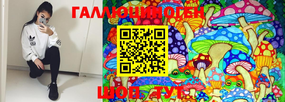 Псилоцибиновые грибы Psilocybe Верхняя Пышма
