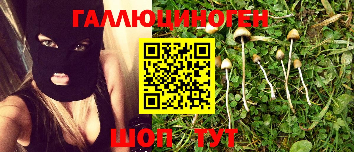 Галлюциногенные грибы прущие грибы  Вход с VPN  Верхняя Пышма  дарнет шоп  Псилоцибиновые грибы MAGIC MUSHROOMS 
