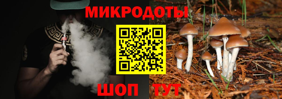 наркотики  Верхняя Пышма  Псилоцибиновые грибы Psilocybine cubensis  Галлюциногенные грибы мухоморы 